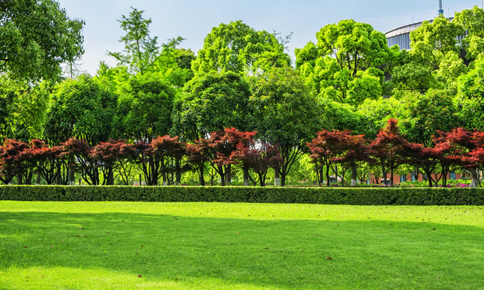 Installations & maintenance services